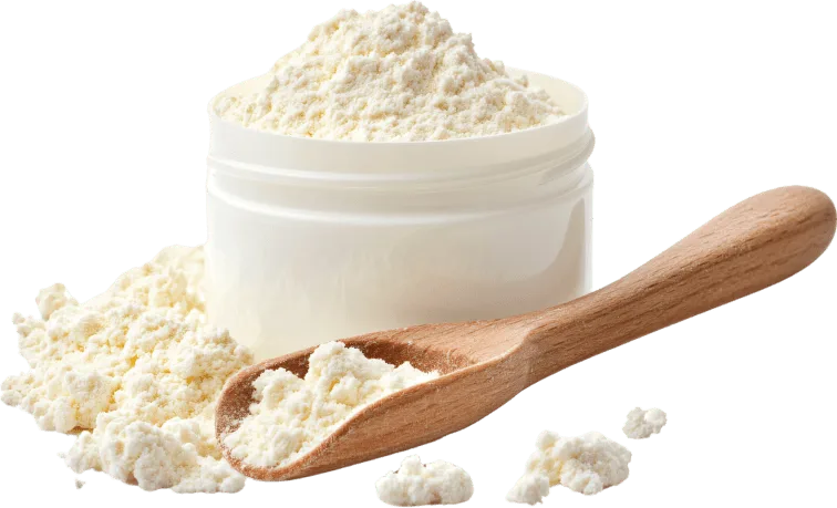 Lactoferrin